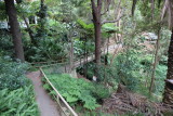 Mosman Bay - North Shore