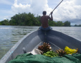 Twomey navigating into the Roviana Lagoon