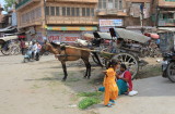 Jodhpur