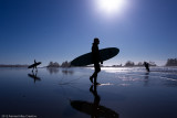 Tofino