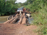 Log Bridge