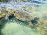 IMG_4189.jpg