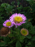 IMG_2573.jpg