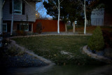 Flooded House