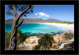 Wine Glass Bay 1, Freycinet NP