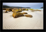 Beach 1, Tasman NP