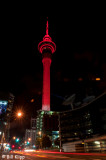 Auckland Sky Tower  with Memorial Lights  1