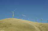 Vasco Road Wind Farm  4