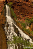 Vasey's Paradise Waterfall 1