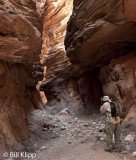 Black Tail Canyon 5