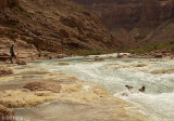 Body surfing the Little Colorado River  1