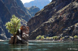 River Rafting Colorado River  5