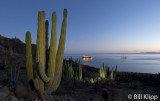 National Geographic Sea Bird, Isla Santa Catalina 1