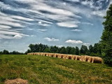 Hay Rolls Along the Parkway