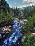 Alberta Stream