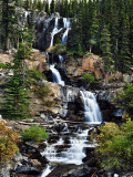 Falls Along the Icefields Parkway