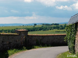 Blick nach Schlo Johannisberg