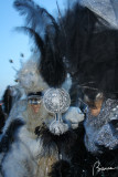 Venice Carnival 2007