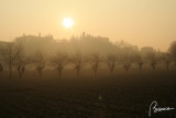 Fog