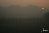 Fog