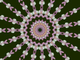 Kaleidoscope: Flower Power