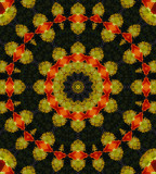 Kaleidoscope: Mex Poppy # 2