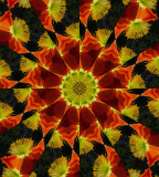 Kaleidoscope: Mex Poppy  # 3