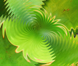 Wavy Lab Succulent