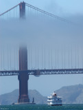 Crossing the foggy gate.jpg