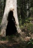 <b>4th</b><br>Lady in Black * by Rod