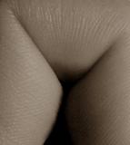 8th<br>bent * <br><i>by ArminB</i>