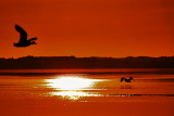 Sunset on Glenelg River