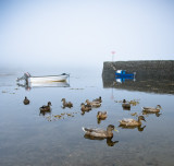 Study of Boats in Fog