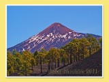 Teide