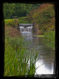 Lancaster Canal - Northern Reaches (5)