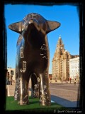 Superlamb banana at the Pier Head
