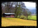 Solitary stable