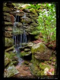 Cumbrian beck (1)