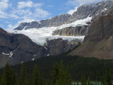 Glacier support for Bow Lake