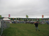 Bestival02.jpg