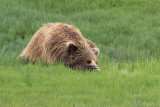 Taken at Lake Clark, Alaska