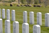 Other Visitors to the Cemetery