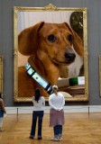 Oscar in a Museum