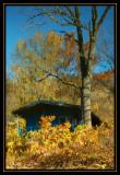 Autumn Watercolors Along the Canal   <br/>