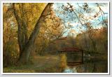 Autumn Along the Canal (over 506)