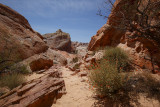 Valley of Fire 3945.JPG