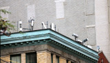 NY Sept 2011 - 1808.jpg