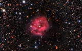 The coocon nebula in RGB