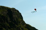 IMG_1272.jpg