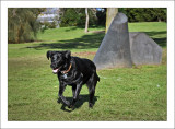 Mad Maisy